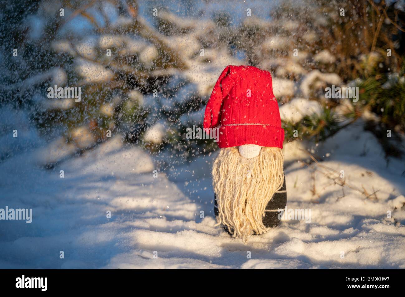 Gnomo di Natale fatto a mano sulla neve nella foresta. Upcycle, realizzato con calze vecchie. Copia spazio a sinistra, fiocchi di neve Foto Stock