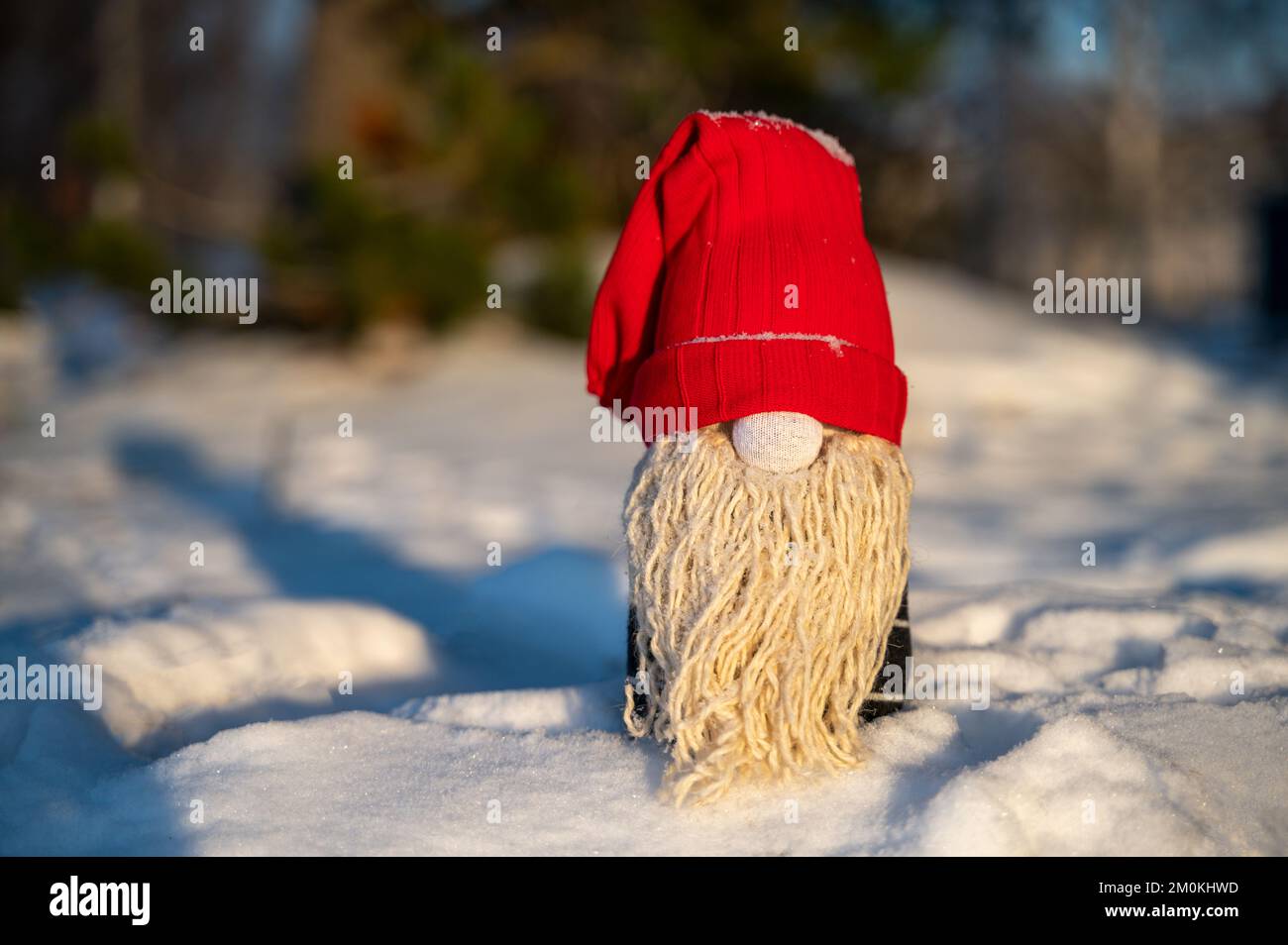 Gnomo di Natale fatto a mano sulla neve nella foresta. Upcycle, realizzato con calze vecchie. Spazio di copia rimasto Foto Stock