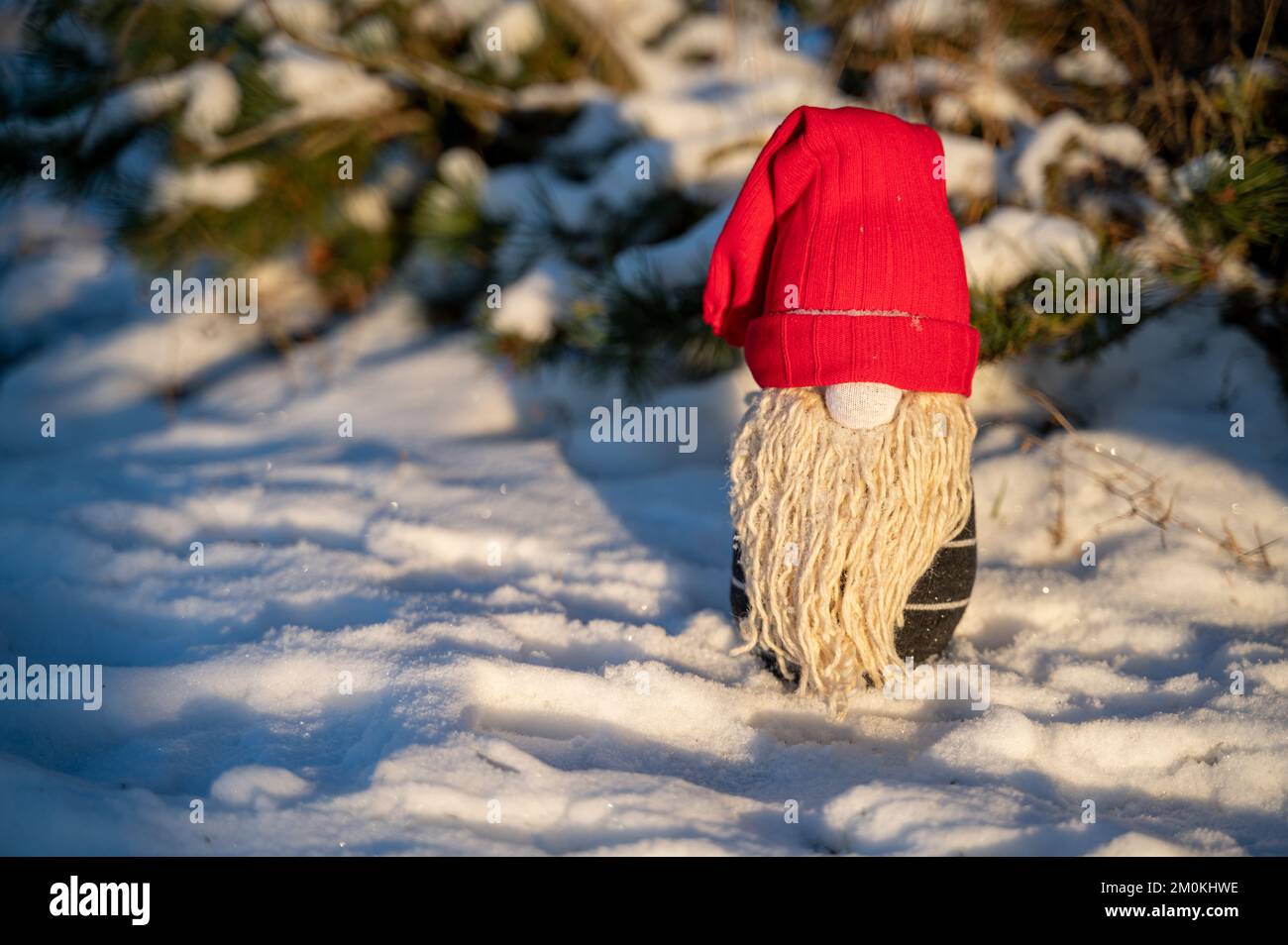 Gnomo di Natale fatto a mano sulla neve nella foresta. Upcycle, realizzato con calze vecchie. Spazio di copia rimasto Foto Stock