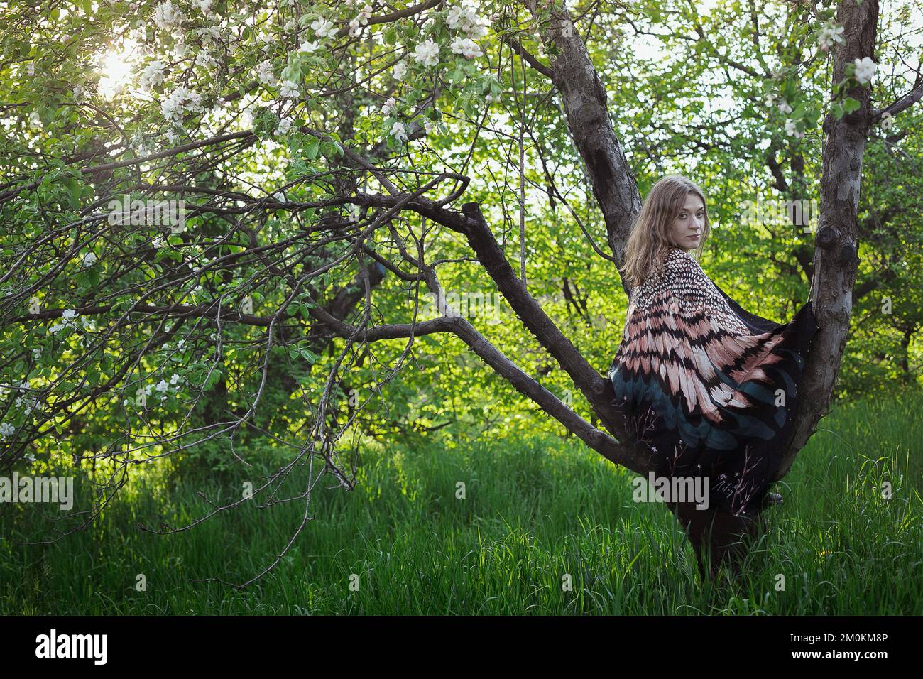 Donna con scialle piume seduta in fotografia panoramica albero Foto Stock