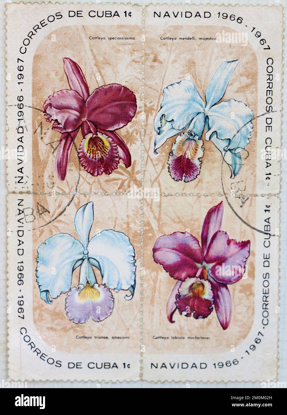 Foto 4 francobolli cubani Uniti Orchidee Cattleya speciosissima Cattleya mendelii majestica Cattleya trianae ameseiana Cattleya labiata macfarlanei Foto Stock