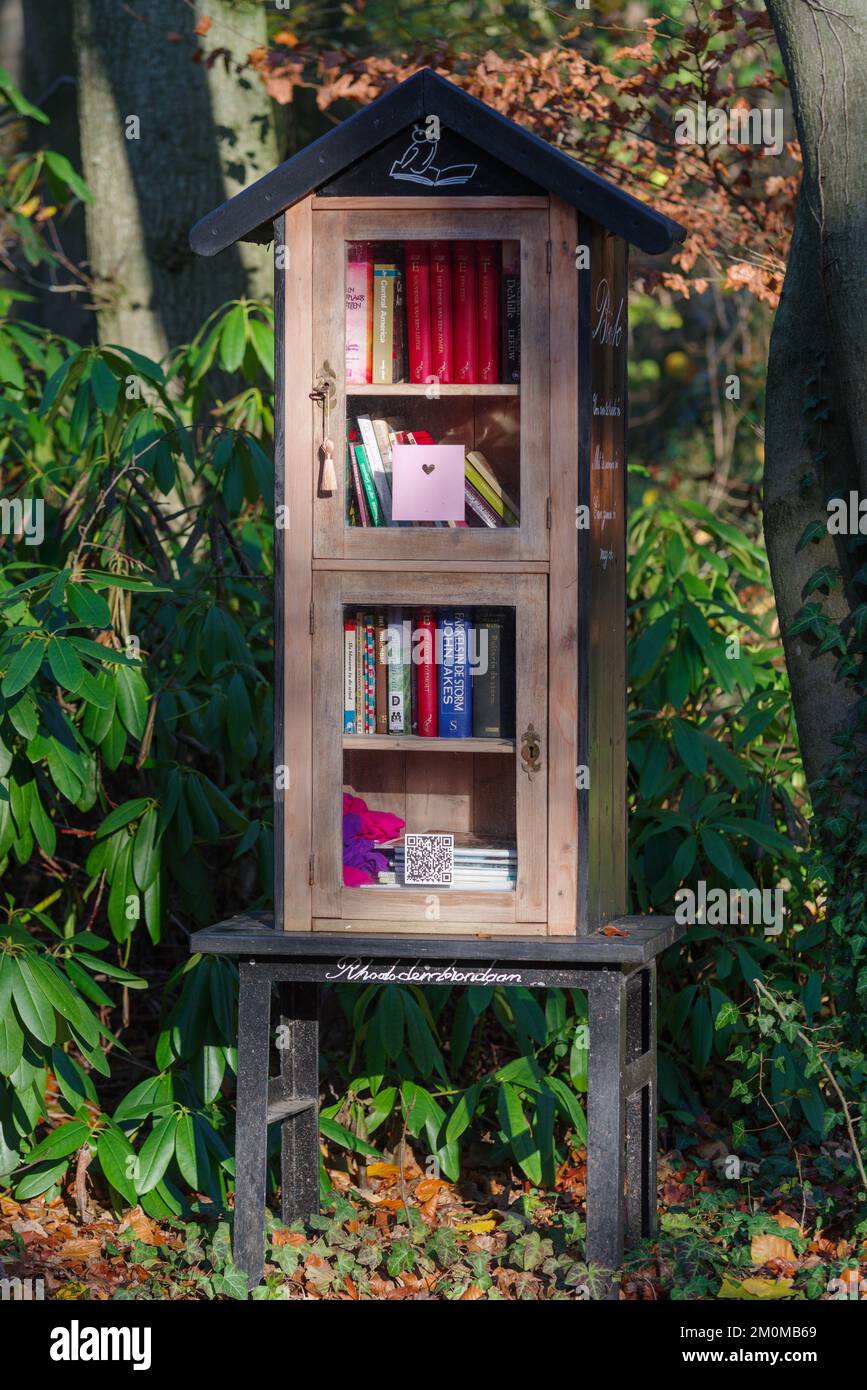 OLDENZAAL, PAESI BASSI - 20 NOVEMBRE 2022: Piccola cabina per libri all'aperto con libri gratuiti Foto Stock