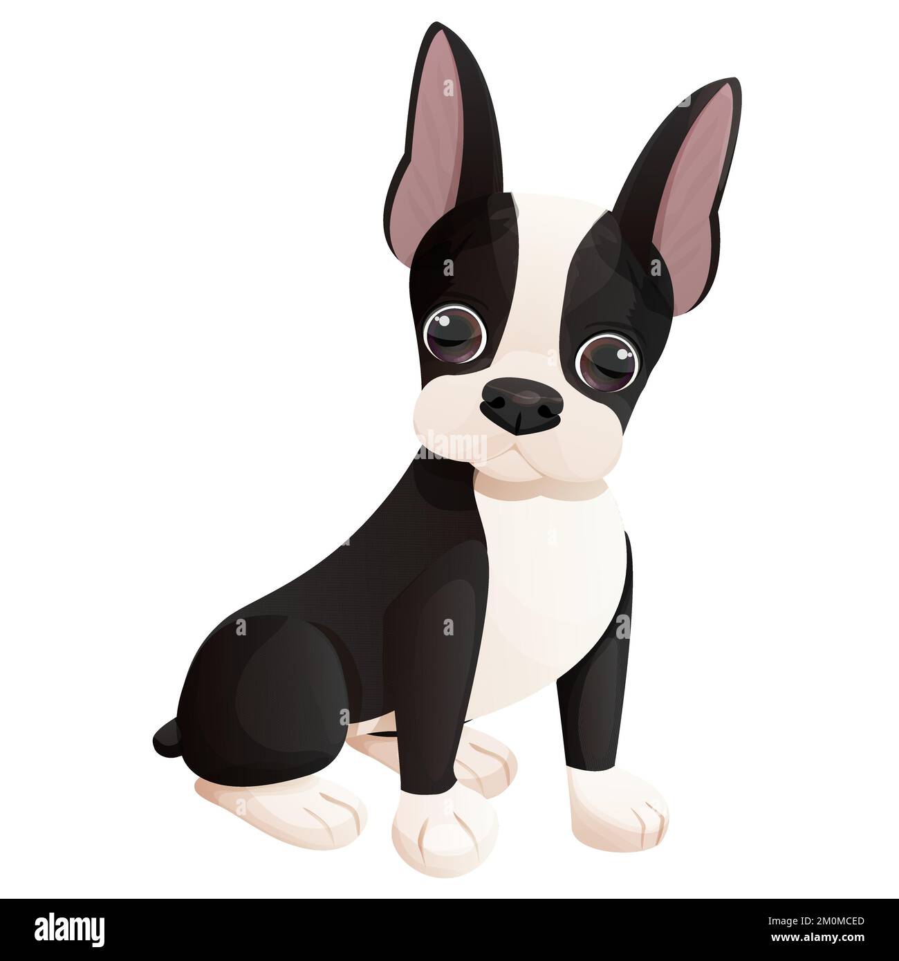 Carino Boston terrier fresco dolce cucciolo seduto in stile cartone animato isolato su sfondo bianco. Carino cane, stampa design. Illustrazione vettoriale Illustrazione Vettoriale