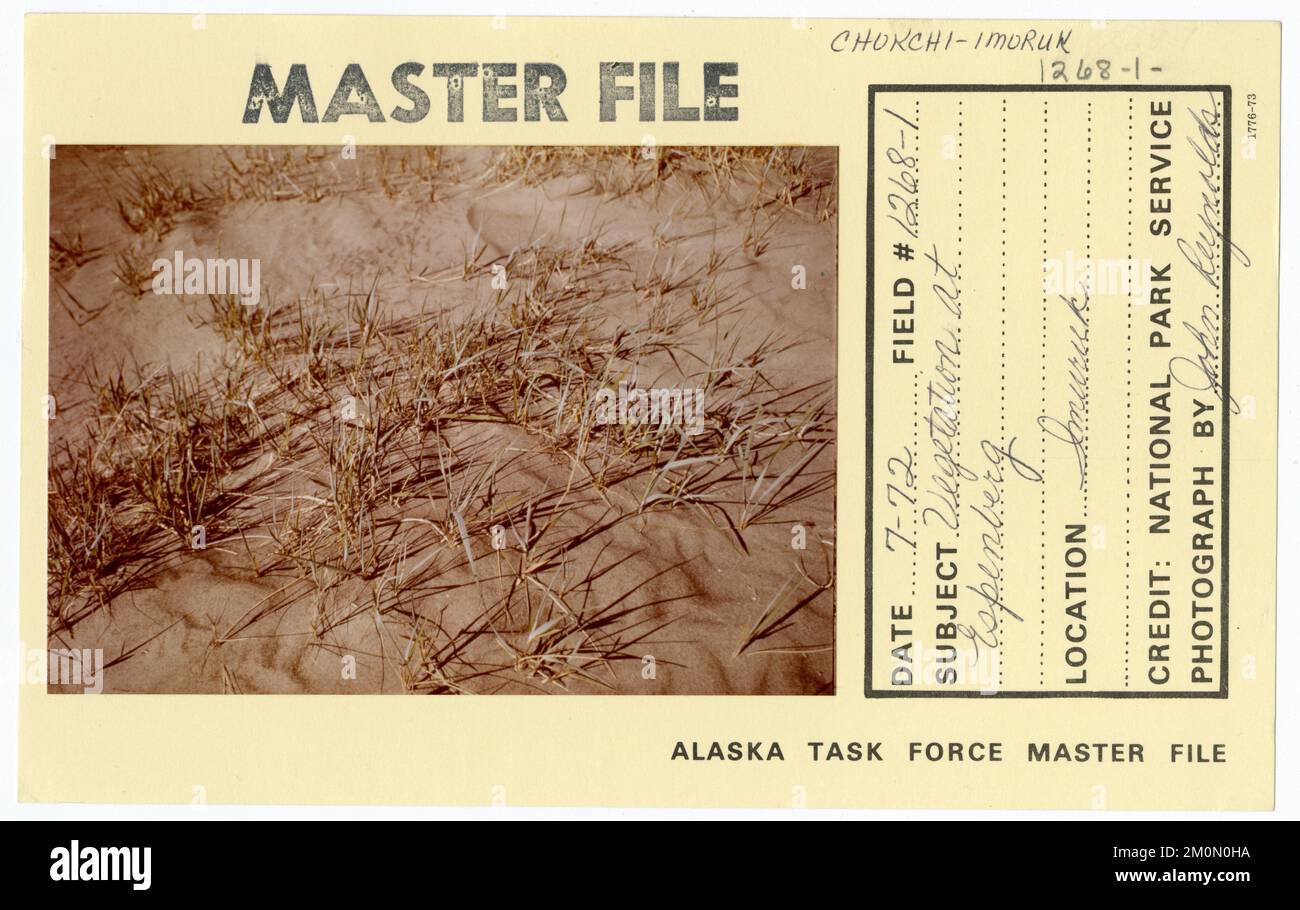 Vegetazione a Espenberg. Alaska Task Force fotografie Foto Stock