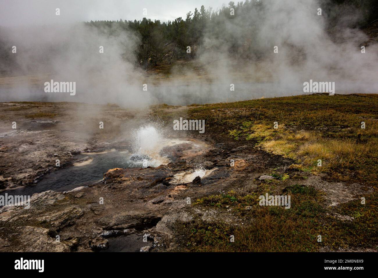 Il parco nazionale di Yellowstone è un punto di riferimento mondiale per le attività geotermiche Foto Stock