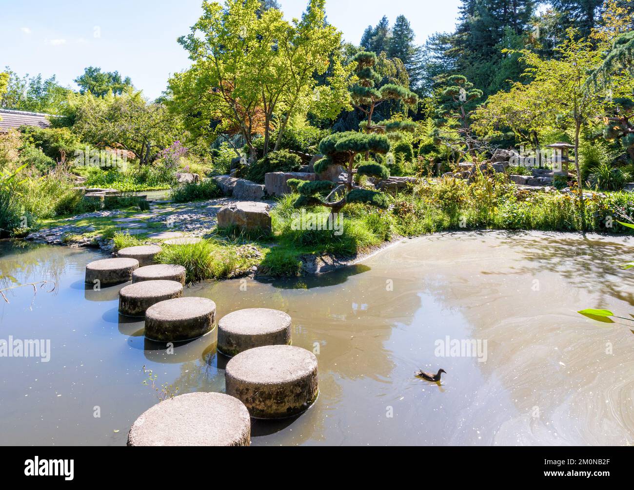 L'isola di Versailles è un'isola artificiale sul fiume Erdre a Nantes, Francia, circondata da un giardino in stile giapponese. Foto Stock