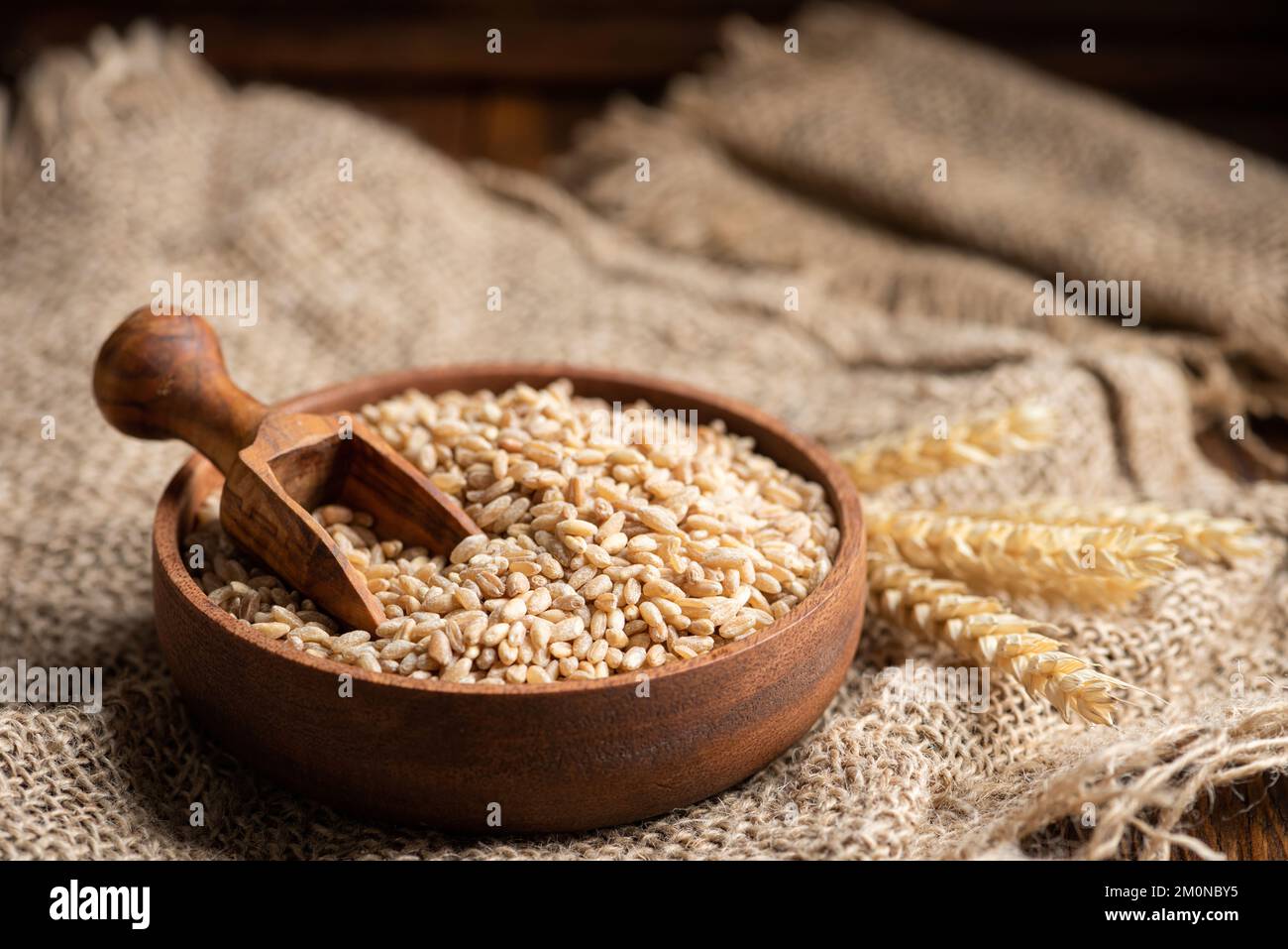 Grano grano grano grano in una ciotola di legno. Agricoltura, concetto di raccolto di cibo Foto Stock