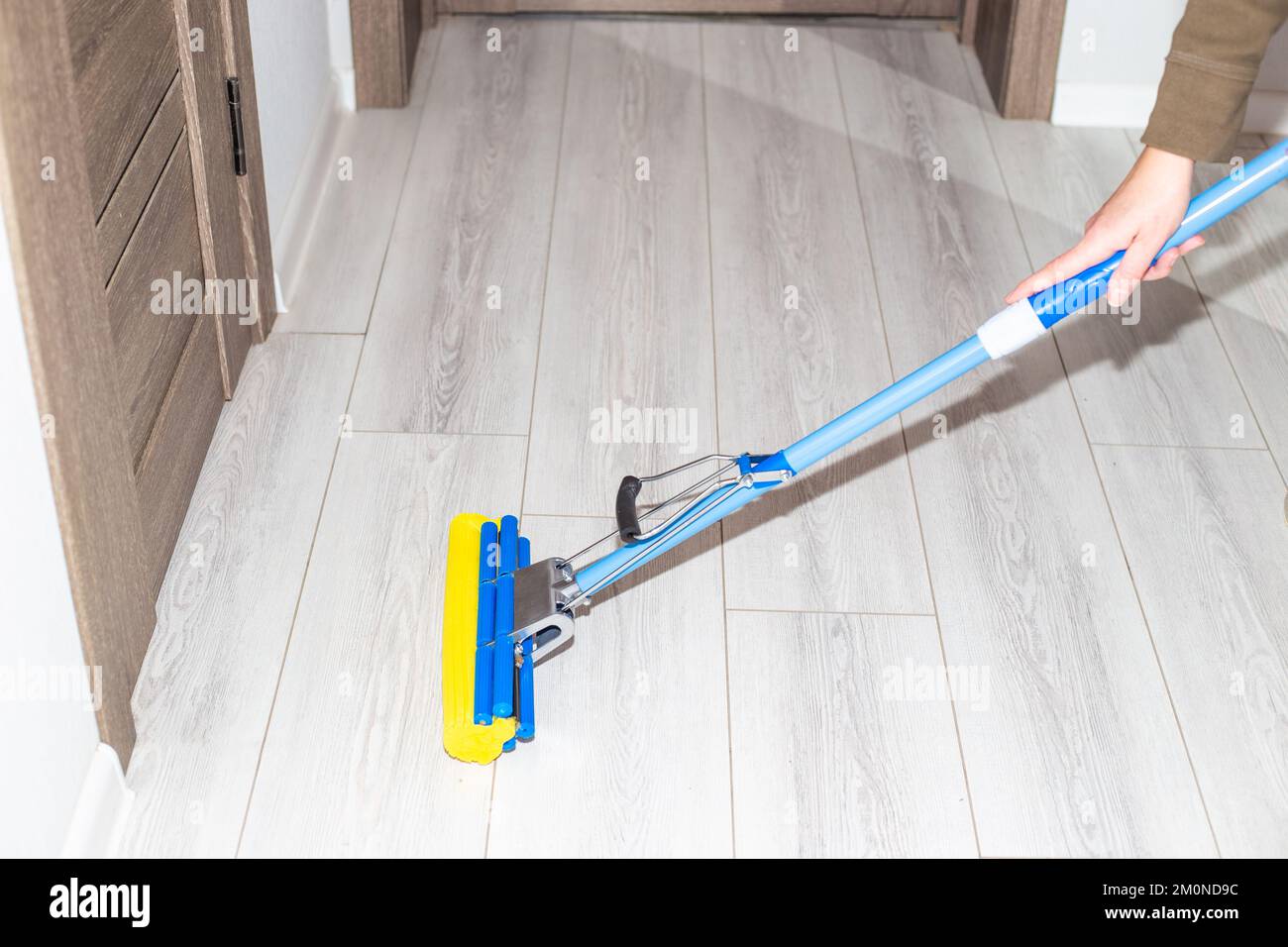 Pulizia della casa. Una donna lava un pavimento in laminato nel corridoio  con un mop Foto stock - Alamy