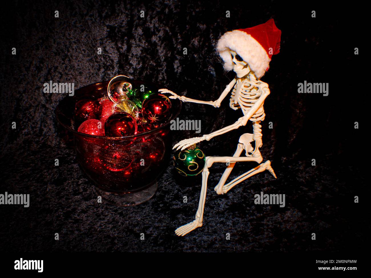 Lo scheletro che indossa il cappello di Santa è inginocchiato e gli ornamenti della sfera di Natale di cernita Foto Stock