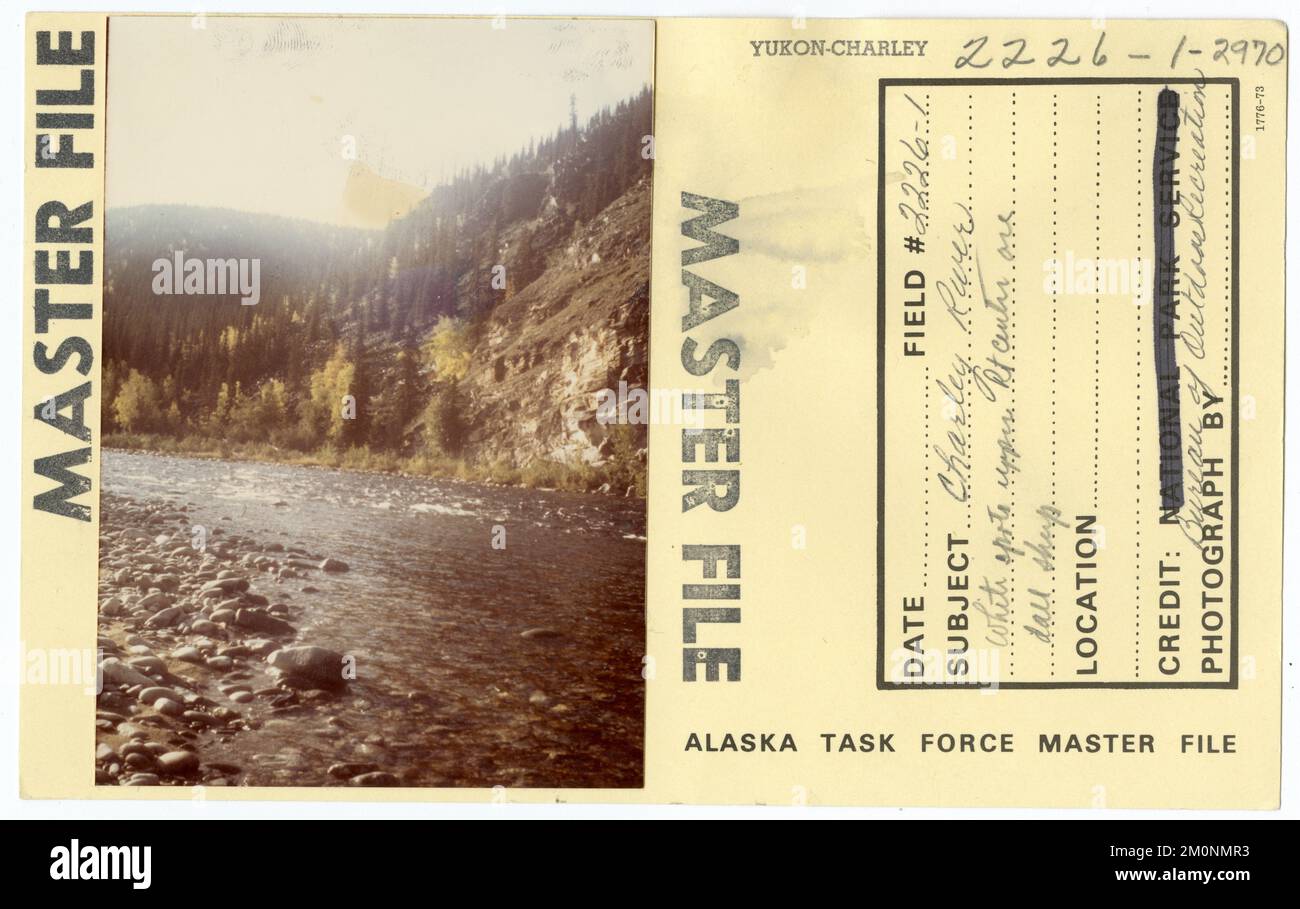 I punti bianchi del fiume Charley in alto al centro di Rt sono pecore di Dall. Alaska Task Force fotografie Foto Stock