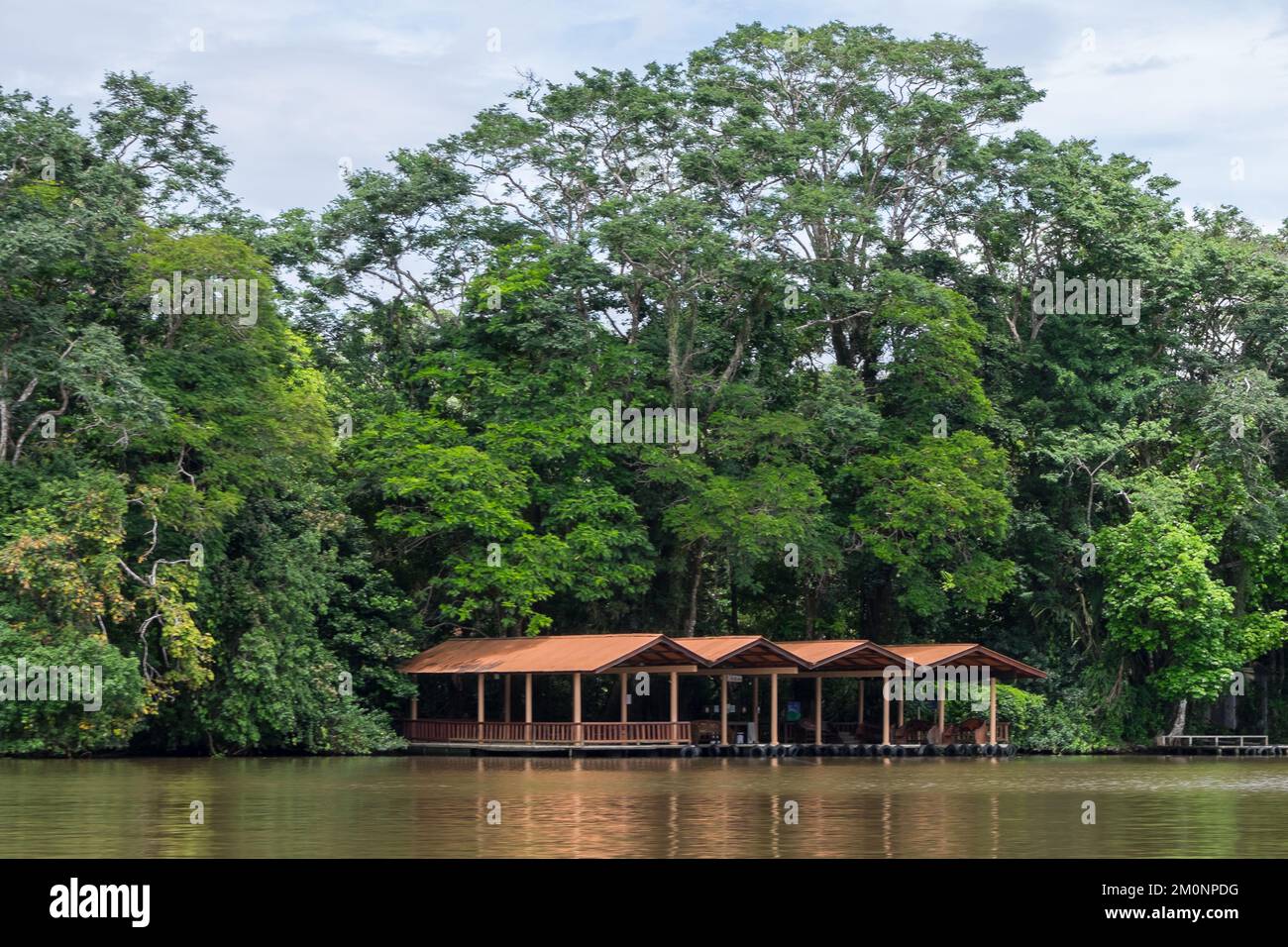 Molo sulla riva del canale di Tortuguero in Costa Rica Foto Stock