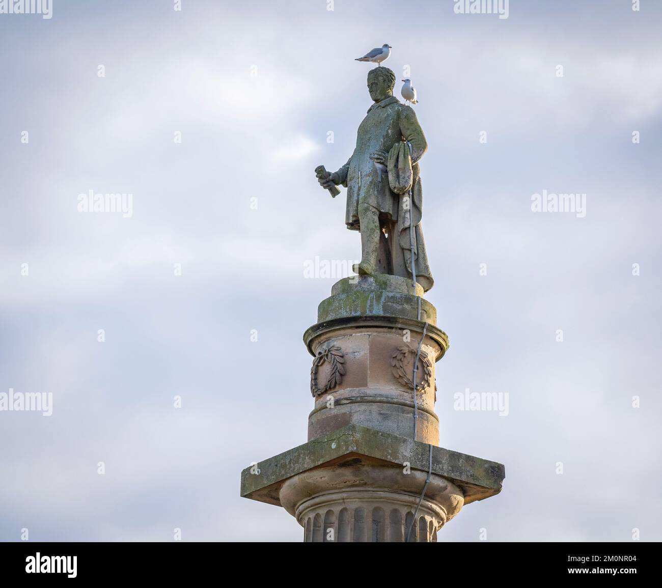 7th dicembre 2022. Coldstream, confini scozzesi. Scotland, UK Monumento di Marjoribanks Una vista di due gabbiani che si ammirano in cima al Monumento di Marjoribanks a Coldstream, ai confini scozzesi. La statua di Charles Albany Marjoribanks (1794 C – 3 dicembre 1833) è stato un politico liberale scozzese che si è seduto alla Camera dei Comuni dal 1832 al 1833. Come giovane lavorò per la East India Company a Macao e, all'età di 30 anni, divenne un freeman della città di Edimburgo.[2] alle elezioni generali del 1832 Marjoribanks fu eletto membro del Parlamento (MP) per Berwickshire in rappresentanza della Th Foto Stock