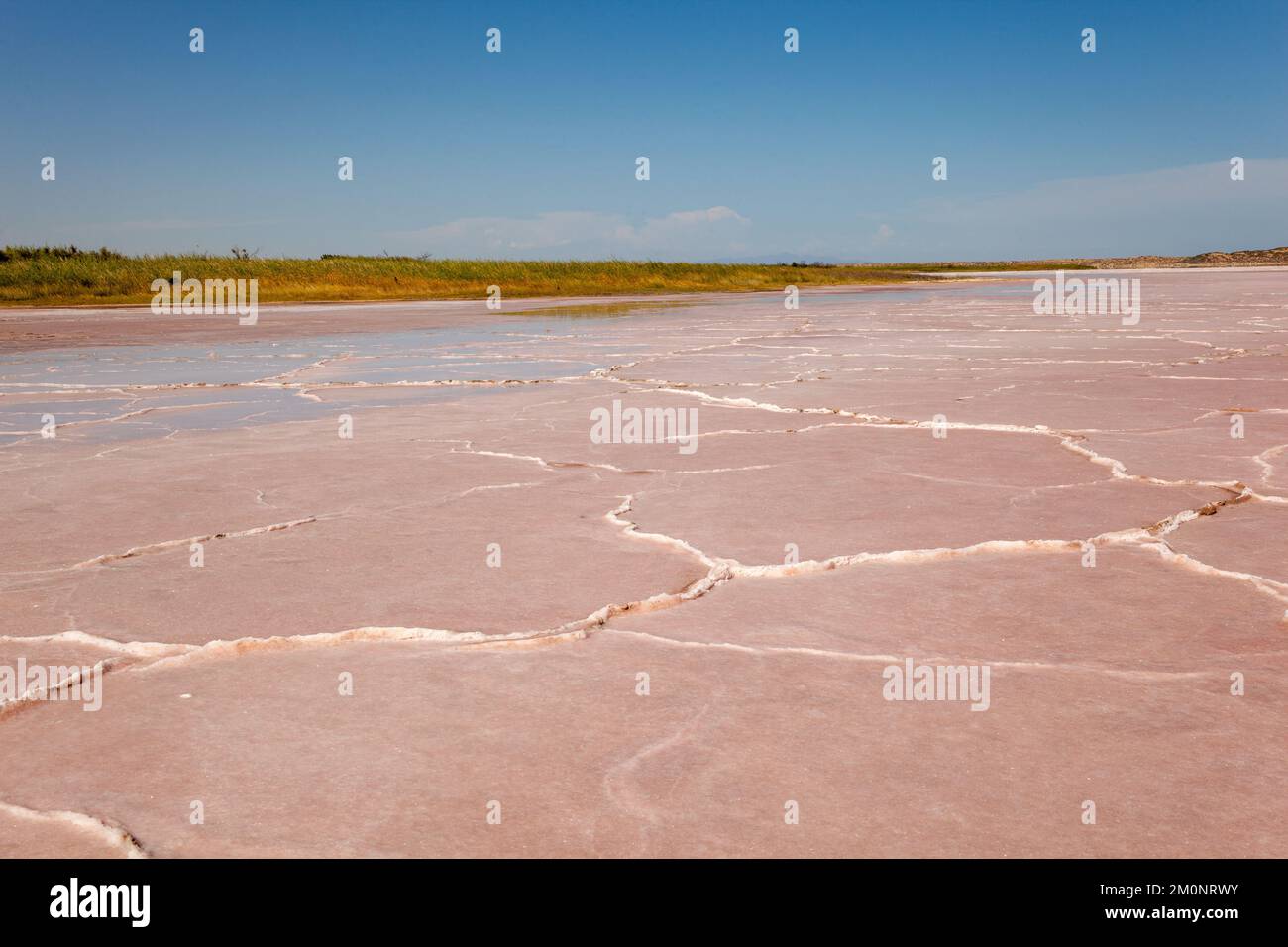Vista del campo da deserto di sale con formazioni di sale secco cristallizzate Foto Stock