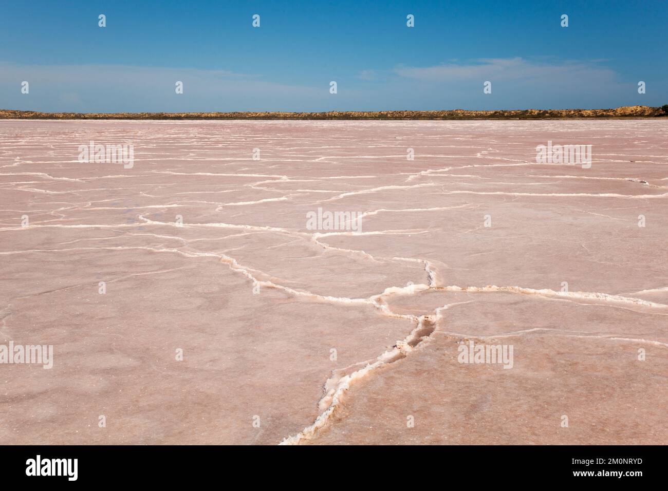 Vista del campo da deserto di sale con formazioni di sale secco cristallizzate Foto Stock