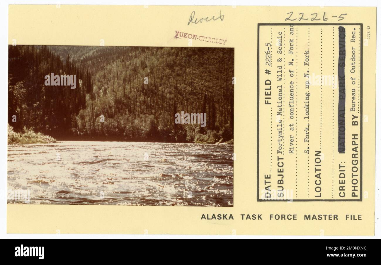 Fortymile National Wild & Scenic River alla confluenza di North Fork e South Fork, guardando verso North Fork. Alaska Task Force fotografie Foto Stock