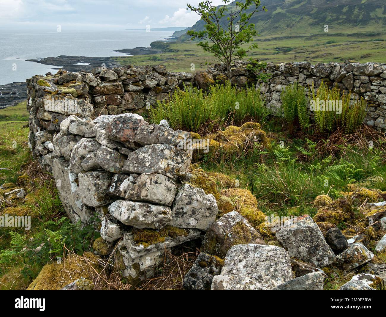 Vecchie mura di pietra coperte di lichene, Boreraig, Isola di Skye, Scozia, Regno Unito Foto Stock