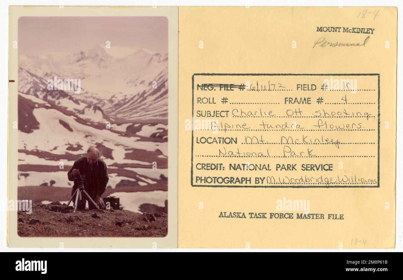Charlie Ott che spara fiori di tundra alpina. Alaska Task Force fotografie Foto Stock