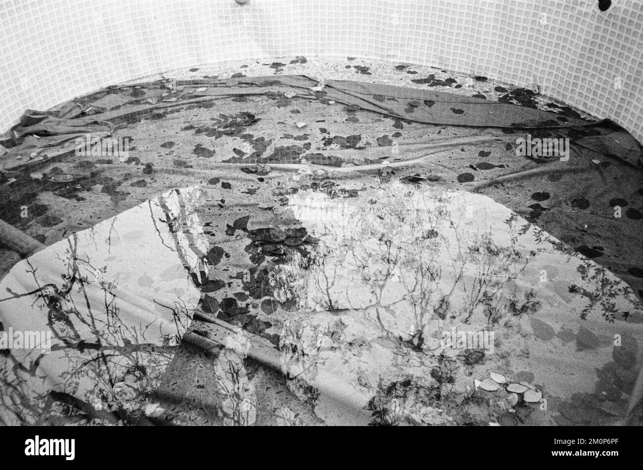 Piscina estiva, Medstead, Hampshire, Inghilterra, Regno Unito Foto Stock