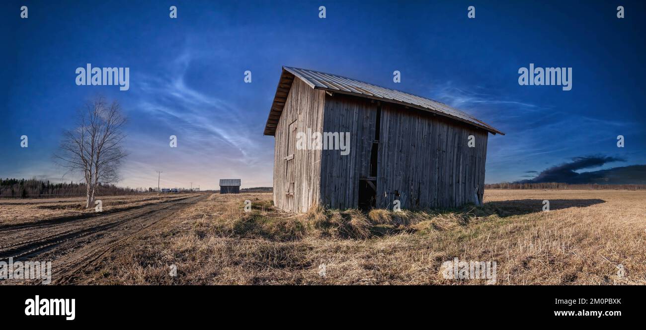 Vecchio stagionato tradizionale scandinavo non dipinto capannone in legno sul campo, stoccaggio durante i lavori stagionali, patrimonio storico, cultura scandinava, bellezze Foto Stock