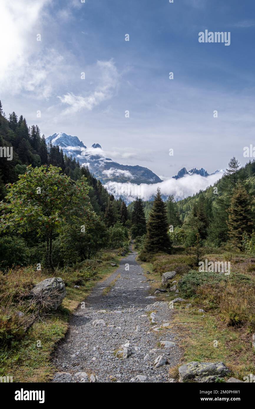 Sentiero alpino che conduce attraverso la zona boschiva dal col des Montets verso le montagne del parco naturale Aiguilles Rouges nella valle di Chamonix Foto Stock