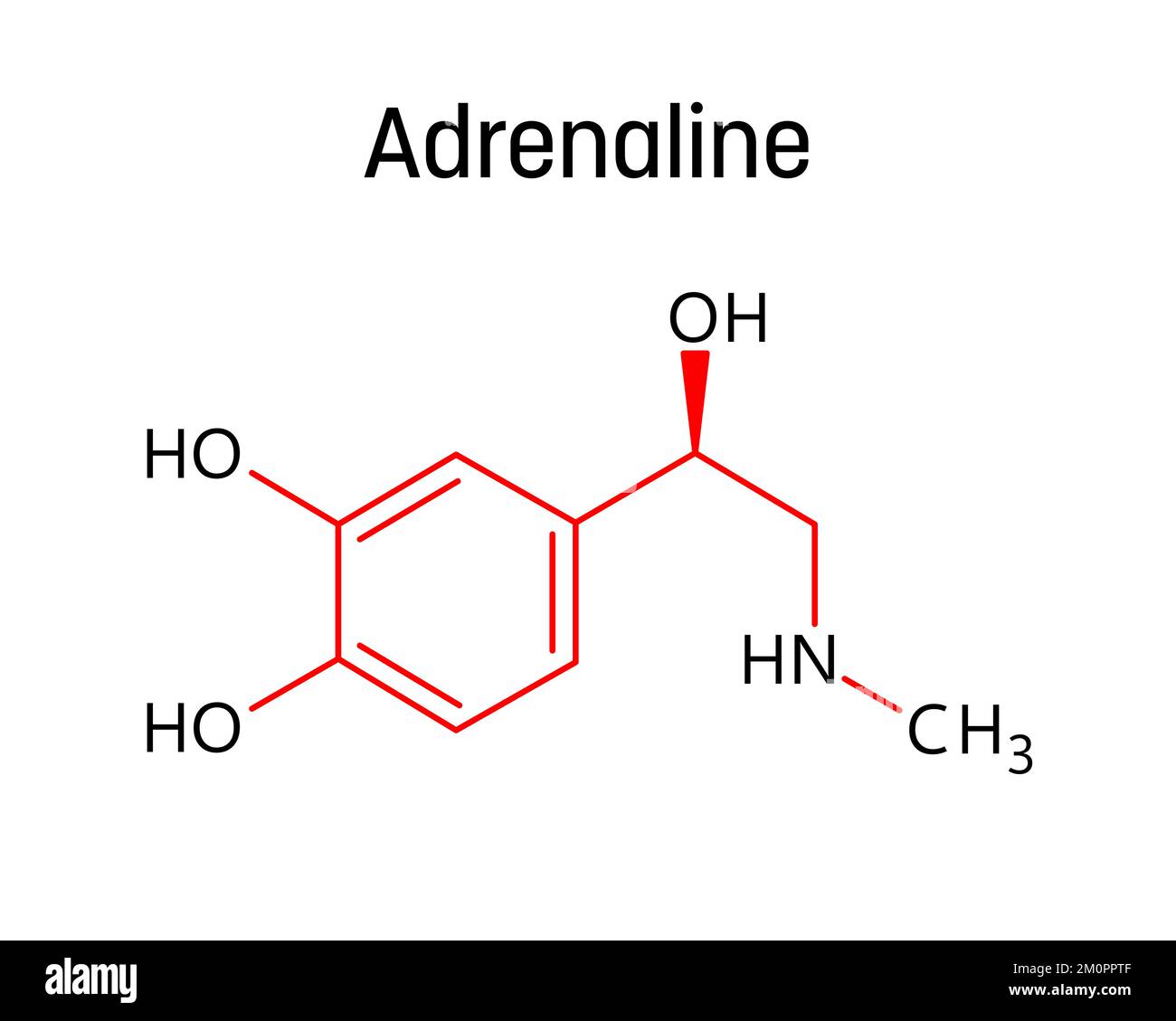 Struttura molecolare dell'adrenalina. L'adrenalina, o epinefrina, è un ormone e un farmaco che regola le funzioni viscerali. Formula strutturale vettoriale del composto chimico con legami rossi e etichette di atomi neri. Illustrazione Vettoriale