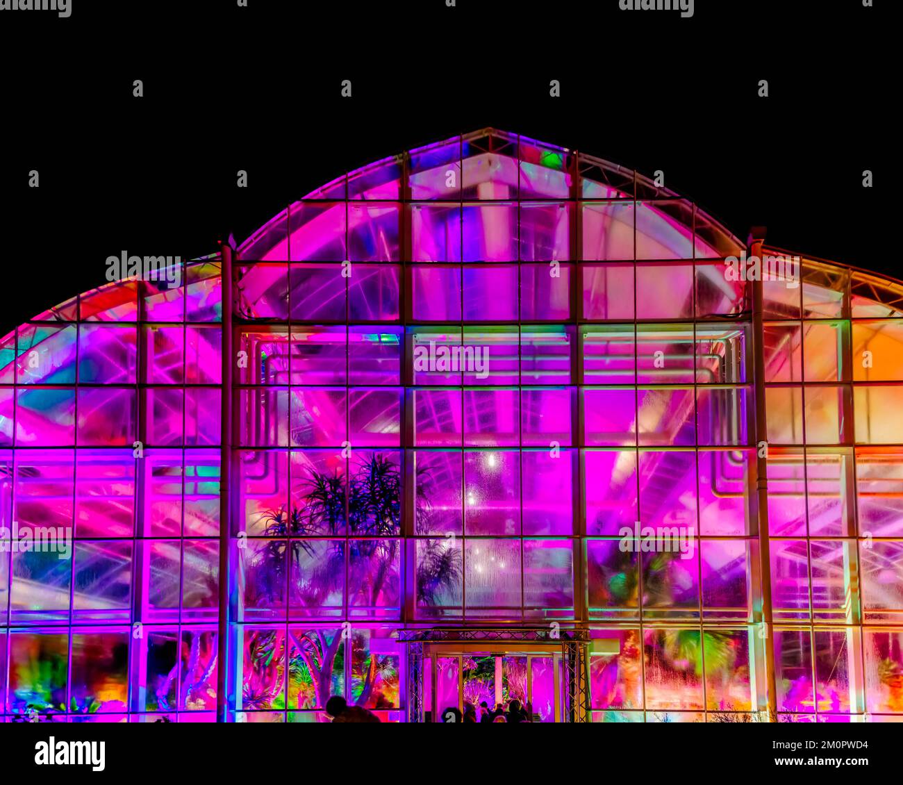 La Glasshouse illuminata nel 2022° evento annuale Christmas Glow, RHS Garden Wisley, Surrey, con illuminazioni colorate di notte Foto Stock