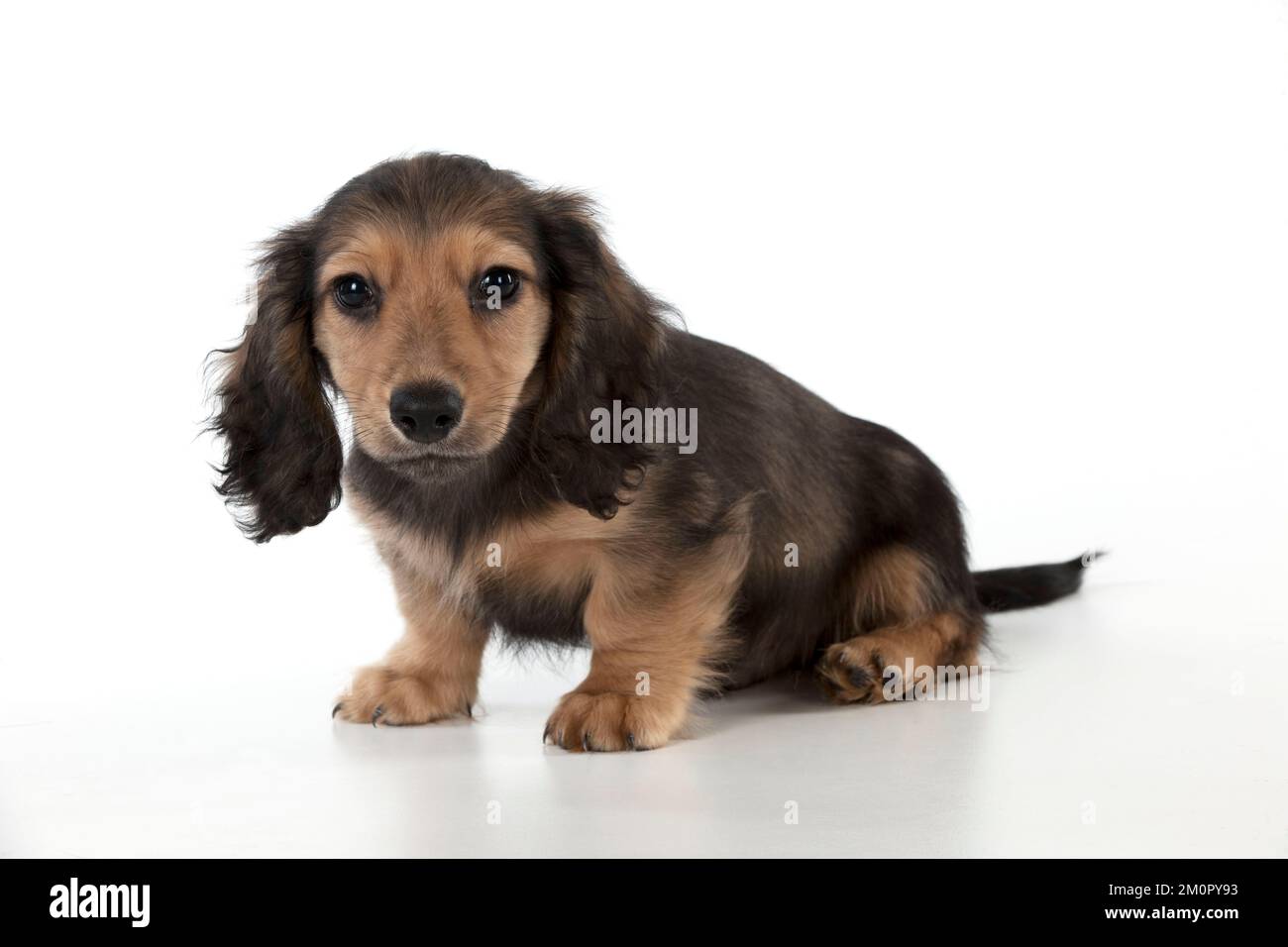 Leg Curl In Piedi, Seduto & Sdraiato | Esecuzione