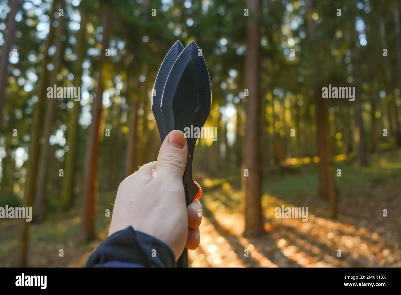Lancio di coltelli. Concetto di sport e hobby. Coltelli di metallo per lanciare in una mano su una foresta sfondo.Sport all'aperto. Foto Stock