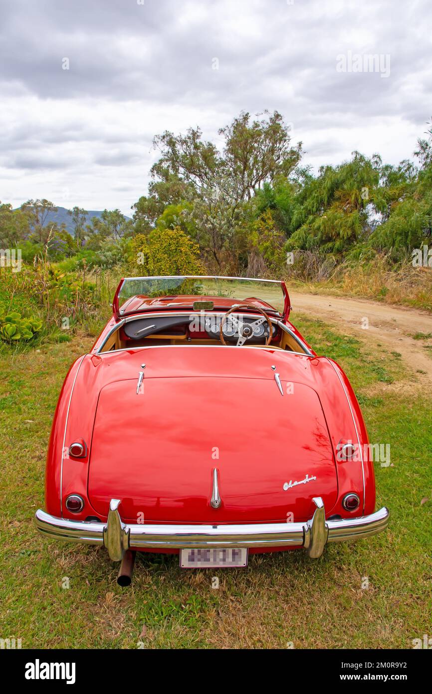 Vista posteriore di una Austin Heajey 100 Roadster del 1952. Foto Stock