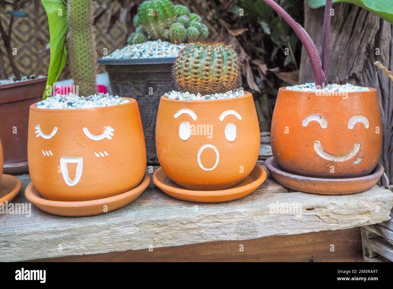 Piante di cactus in vaso con facce che mostrano sentimenti. Foto Stock