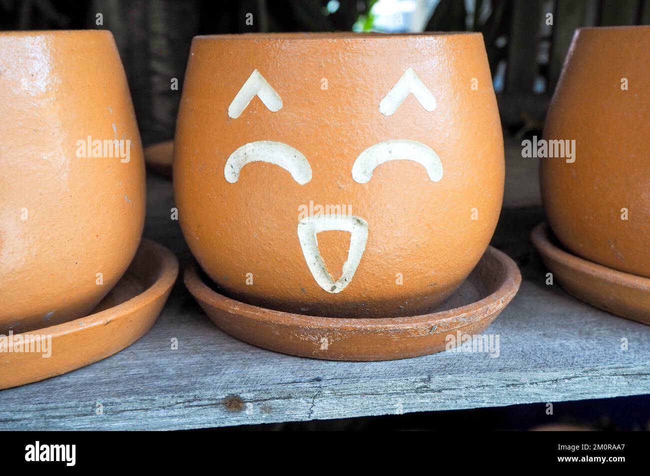 Vaso di fiori con facce che mostrano sentimenti Foto Stock