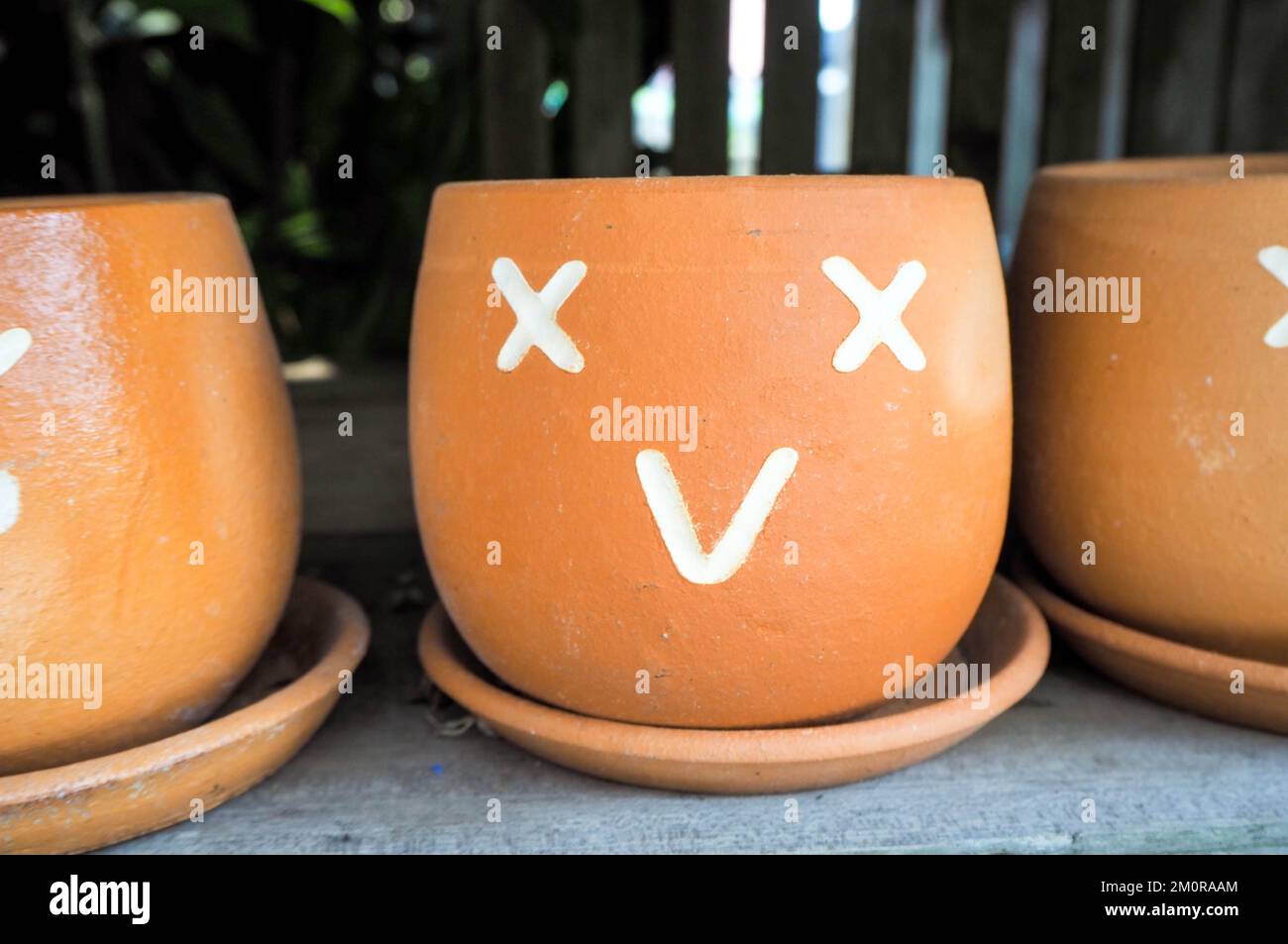 Vaso di fiori con facce che mostrano sentimenti Foto Stock