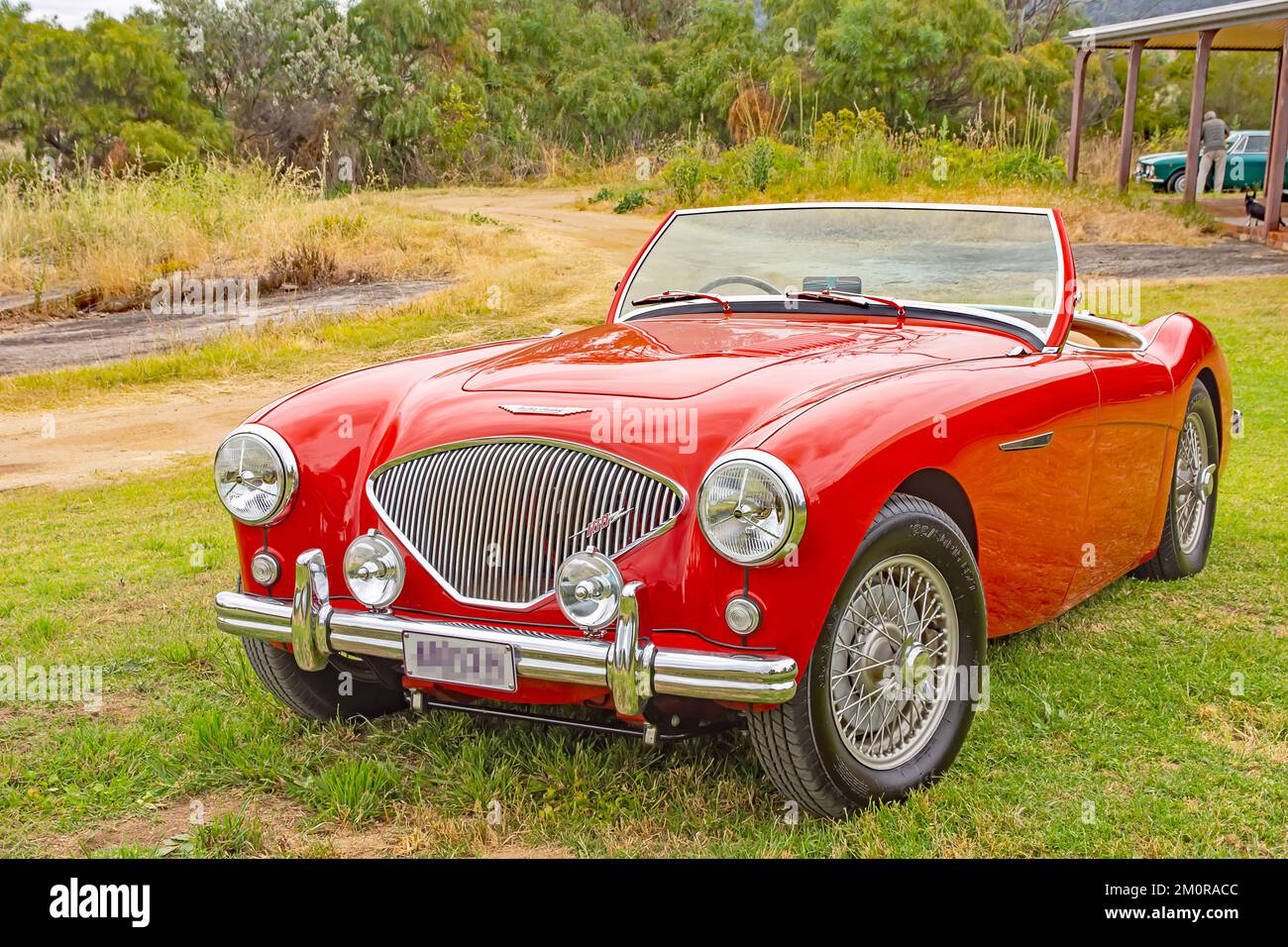 1952 Austin Healey 100 Roadster. Foto Stock