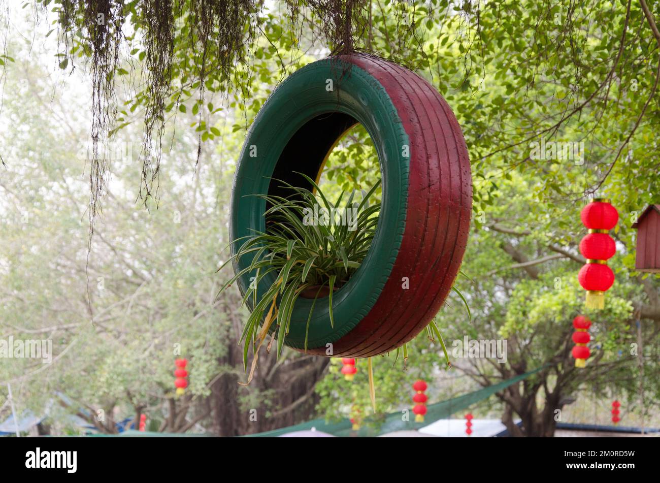 Una pentola di pianta verde in un pneumatico appeso con una corda ad un ramo di albero al parco Foto Stock