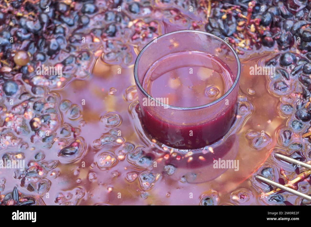 Un bicchiere di vino rosso e un succo di vino fresco per la degustazione. Concetto di produzione del vino Foto Stock