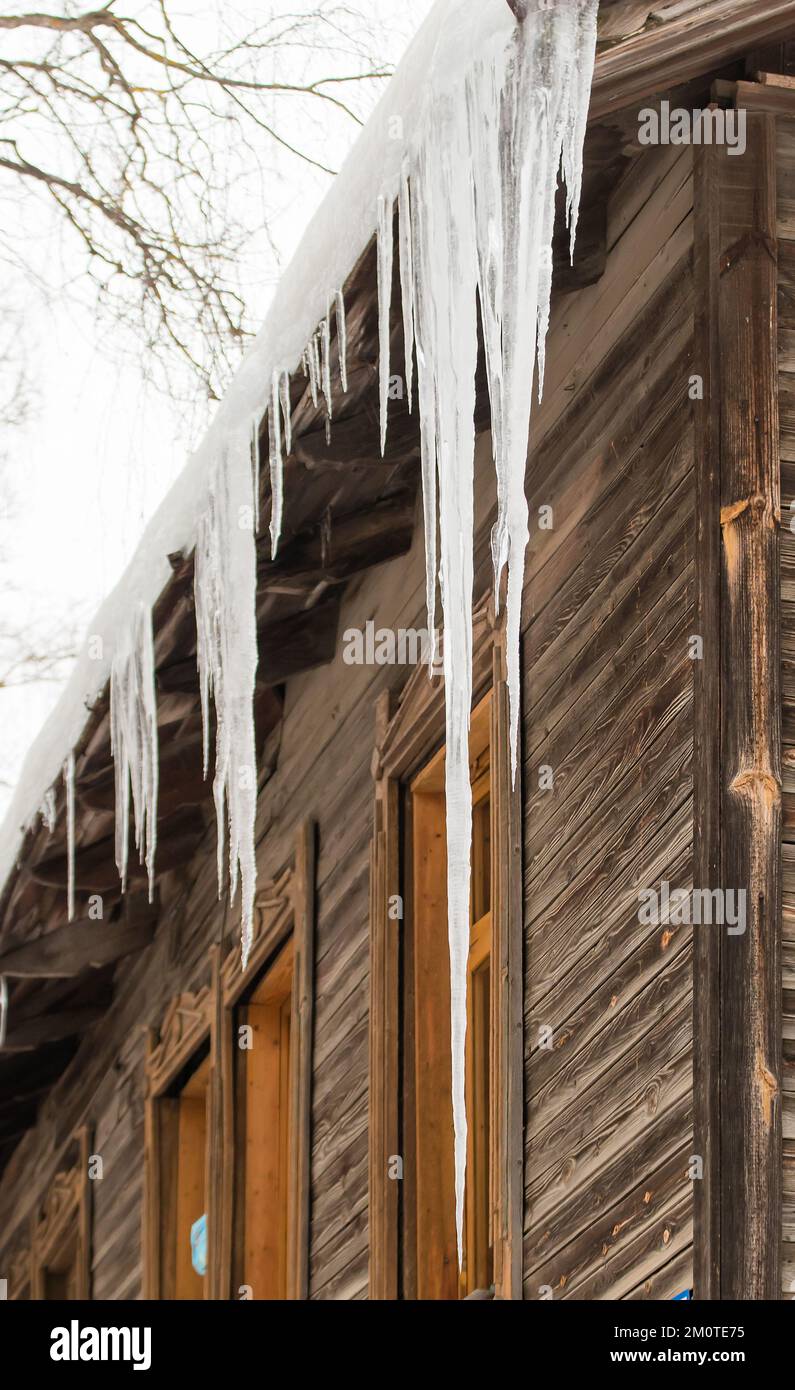 Lunghi ghiaccioli appendono sul bordo del tetto, in inverno o in primavera. Muratura in legno di una vecchia casa in legno con finestre. Grandi cascate di ghiaccioli in file lisce e belle. Nuvoloso giorno d'inverno, luce soffusa. Foto Stock