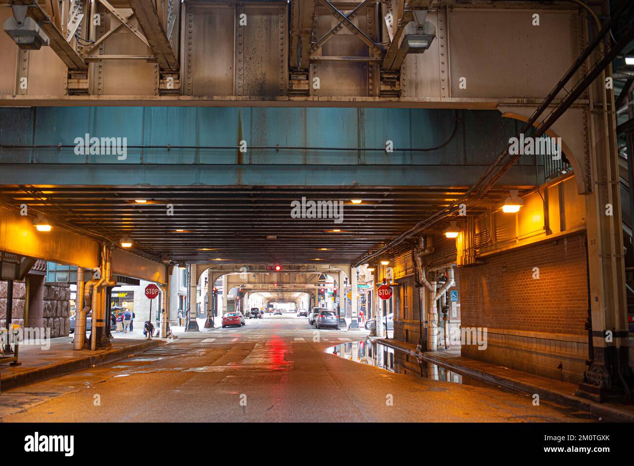 Stati Uniti, Illinois, Chicago, Wicker Park, stazione della metropolitana di Damen, sotto le strutture in acciaio dello skytrain Foto Stock