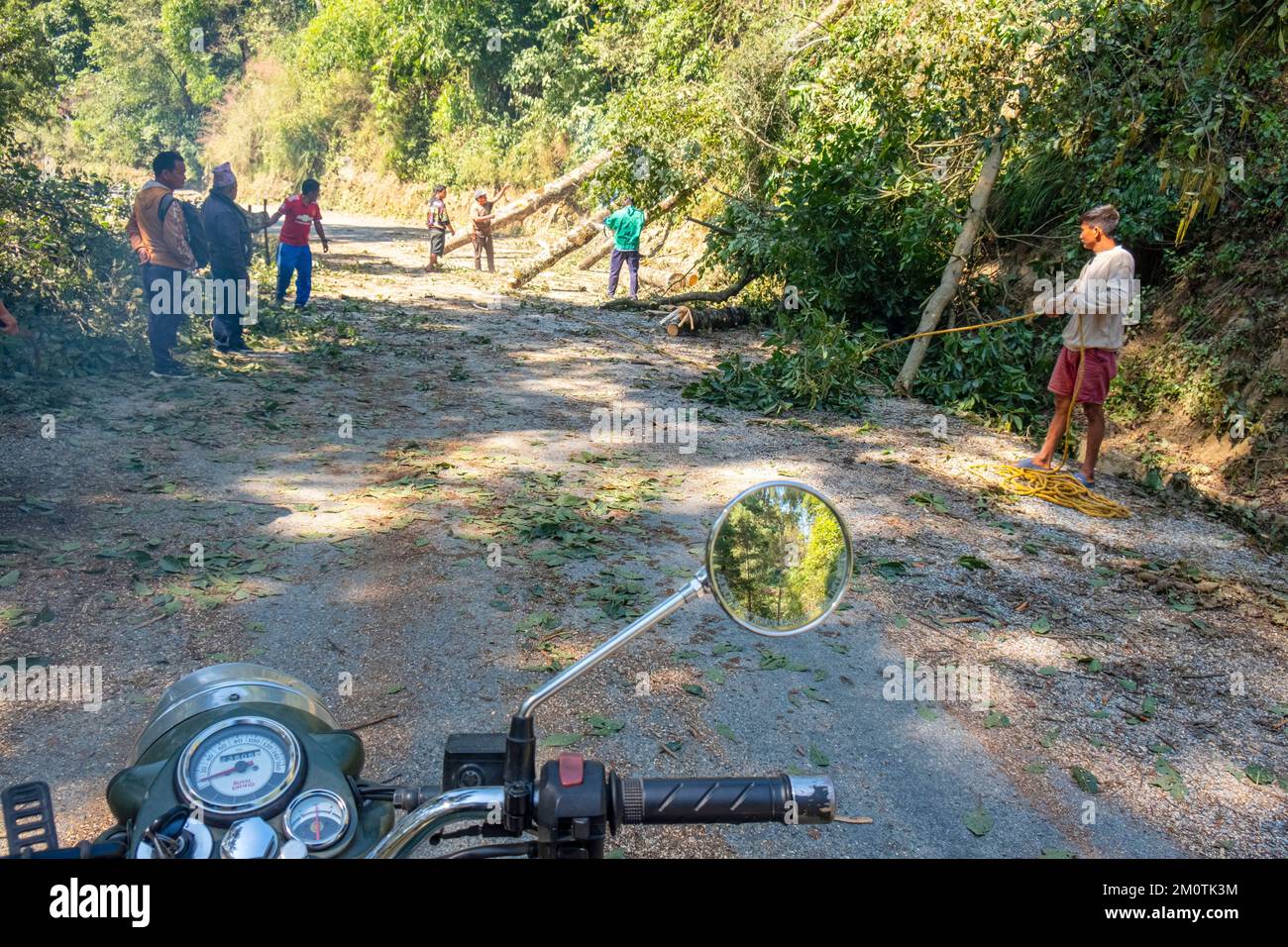 Nepal, zona di Bagmati, Nagarkot, strada bloccata da alberi in caduta Foto Stock