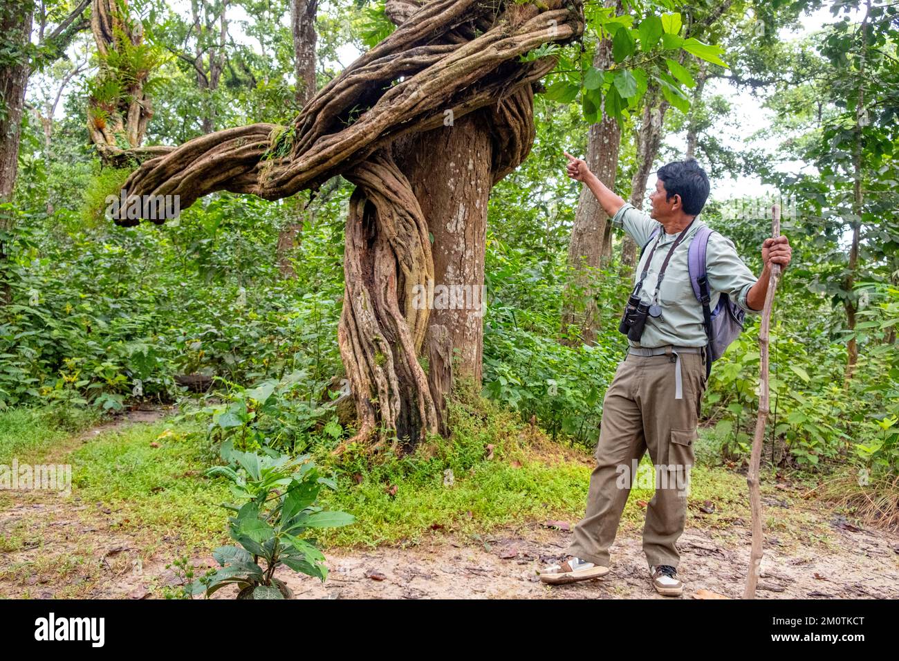 Nepal, regione di Terai, area di Narayani, Parco Nazionale di Chitwan, escursione nella foresta con una guida Foto Stock
