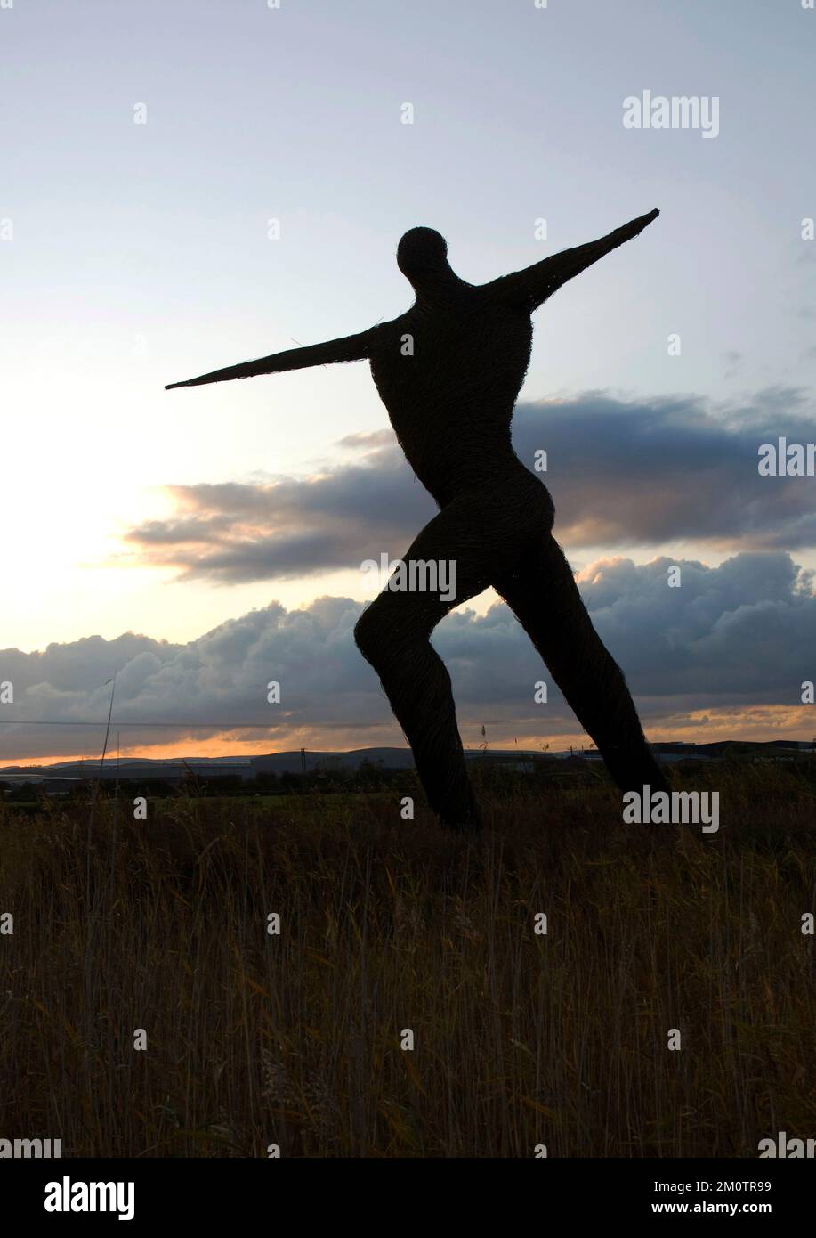 Immagine scannerizzata del Willow Man, una grande scultura all'aperto di Serena de la Hey, vicino Bridgwater nel Somerset, Regno Unito girato su film circa 2005 Foto Stock