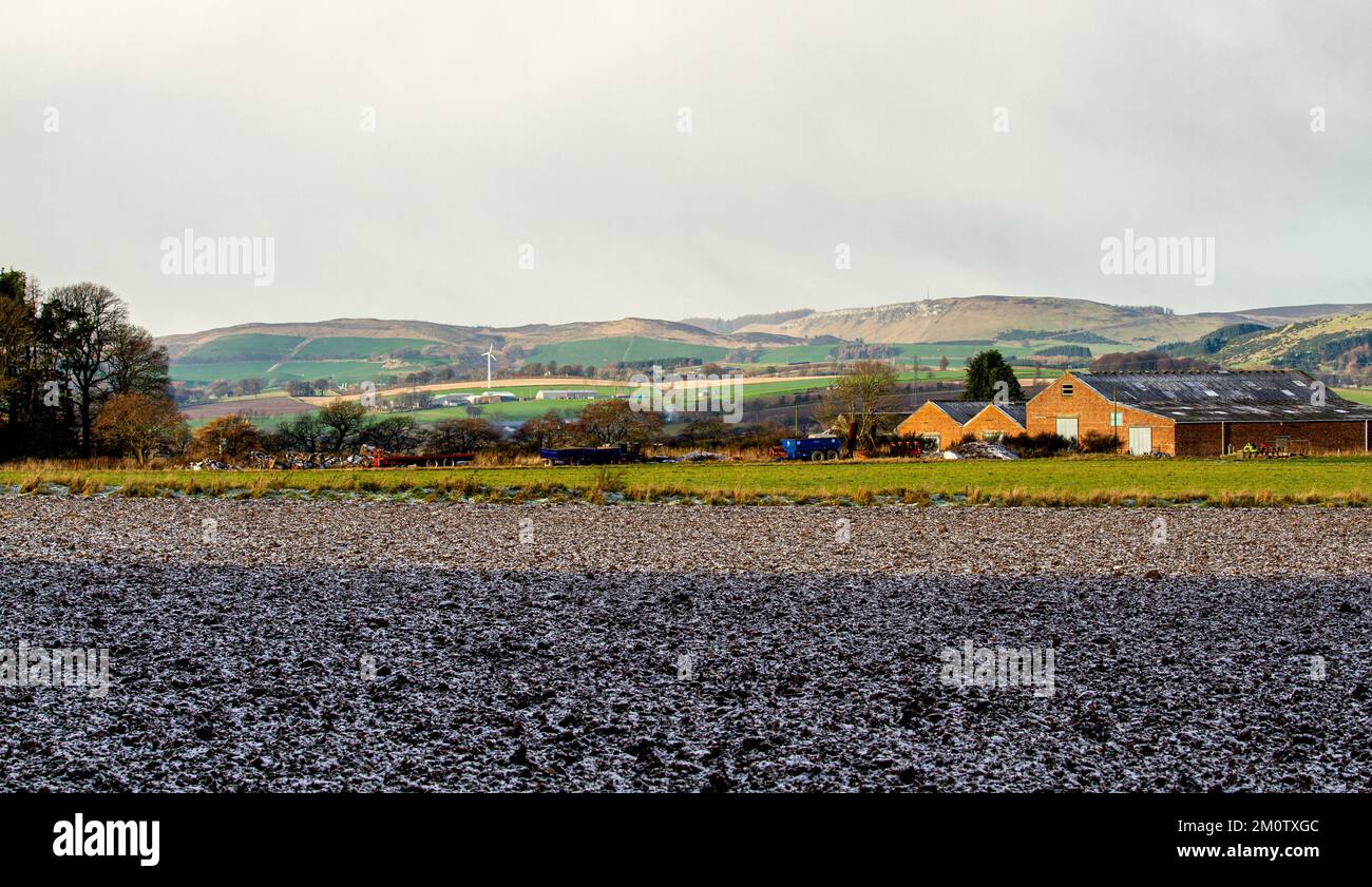 Dundee, Tayside, Scozia, Regno Unito. 8th Dec, 2022. UK Weather: Il nord-est della Scozia sta vivendo il sole di dicembre, con alti intorno a 3°C. Tayside ha ricevuto la sua prima nevicata dell'anno grazie a un'esplosione artica notturna. Le nevi si snodano sulle colline Sidlaw di Dundee, sul Clatto Country Park e sulla campagna circostante. Credit: Dundee Photographics/Alamy Live News Foto Stock