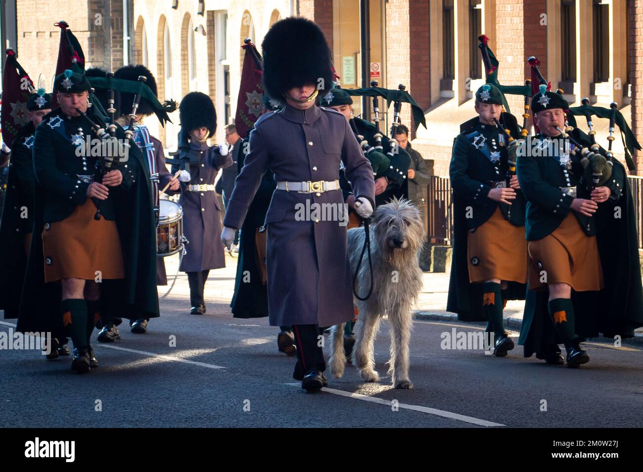 Windsor, Berkshire, Regno Unito. 8th dicembre 2022. Era una mattina fredda ma luminosa di sole per il cambio della guardia a Windsor questa mattina. Wolfhound Seamus la mascotte regimentale delle Guardie irlandesi della compagnia numero 12, guidò le Guardie irlandesi della compagnia numero 12 e la guardia del castello della guardia di Windsor mentre marciavano fino al castello di Windsor. Seamus è ufficialmente chiamato Turlough Mor. Credit: Maureen McLean/Alamy Live News Foto Stock