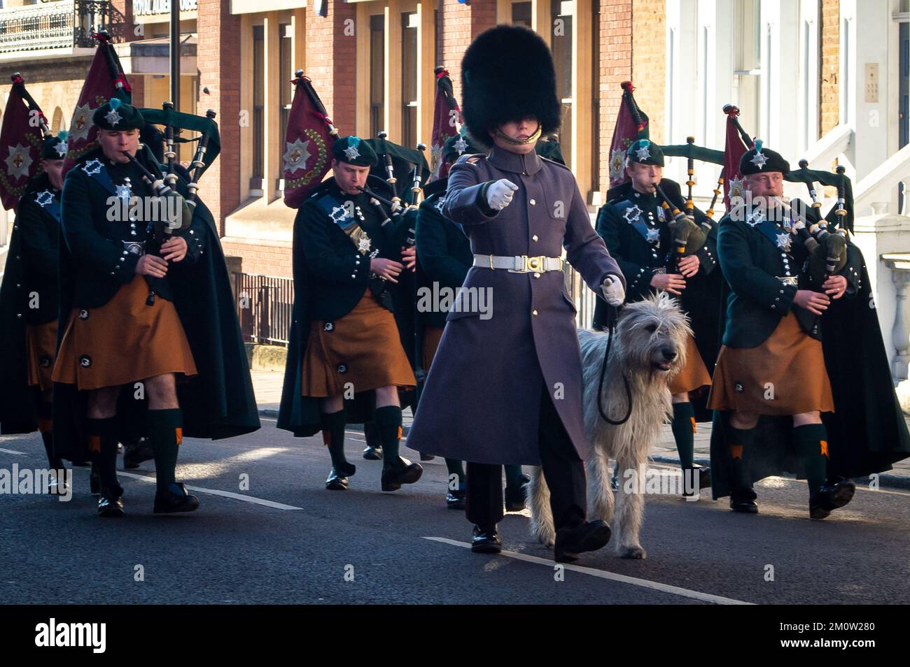 Windsor, Berkshire, Regno Unito. 8th dicembre 2022. Era una mattina fredda ma luminosa di sole per il cambio della guardia a Windsor questa mattina. Wolfhound Seamus la mascotte regimentale delle Guardie irlandesi della compagnia numero 12, guidò le Guardie irlandesi della compagnia numero 12 e la guardia del castello della guardia di Windsor mentre marciavano fino al castello di Windsor. Seamus è ufficialmente chiamato Turlough Mor. Credit: Maureen McLean/Alamy Live News Foto Stock