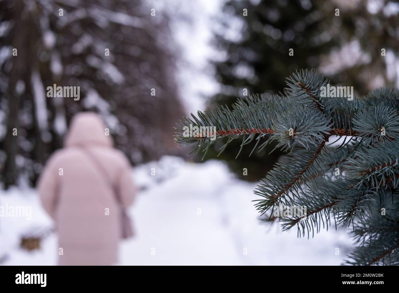 Forte nevicata nel villaggio. Foto di alta qualità Foto Stock