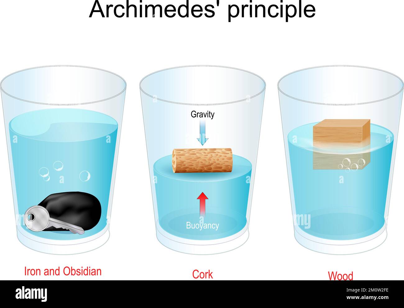 Principio di Archimede. Sperimentate con bicchieri d'acqua, pietra ossidiana, chiave di ferro, sughero e cubo di legno. galleggianti Illustrazione Vettoriale