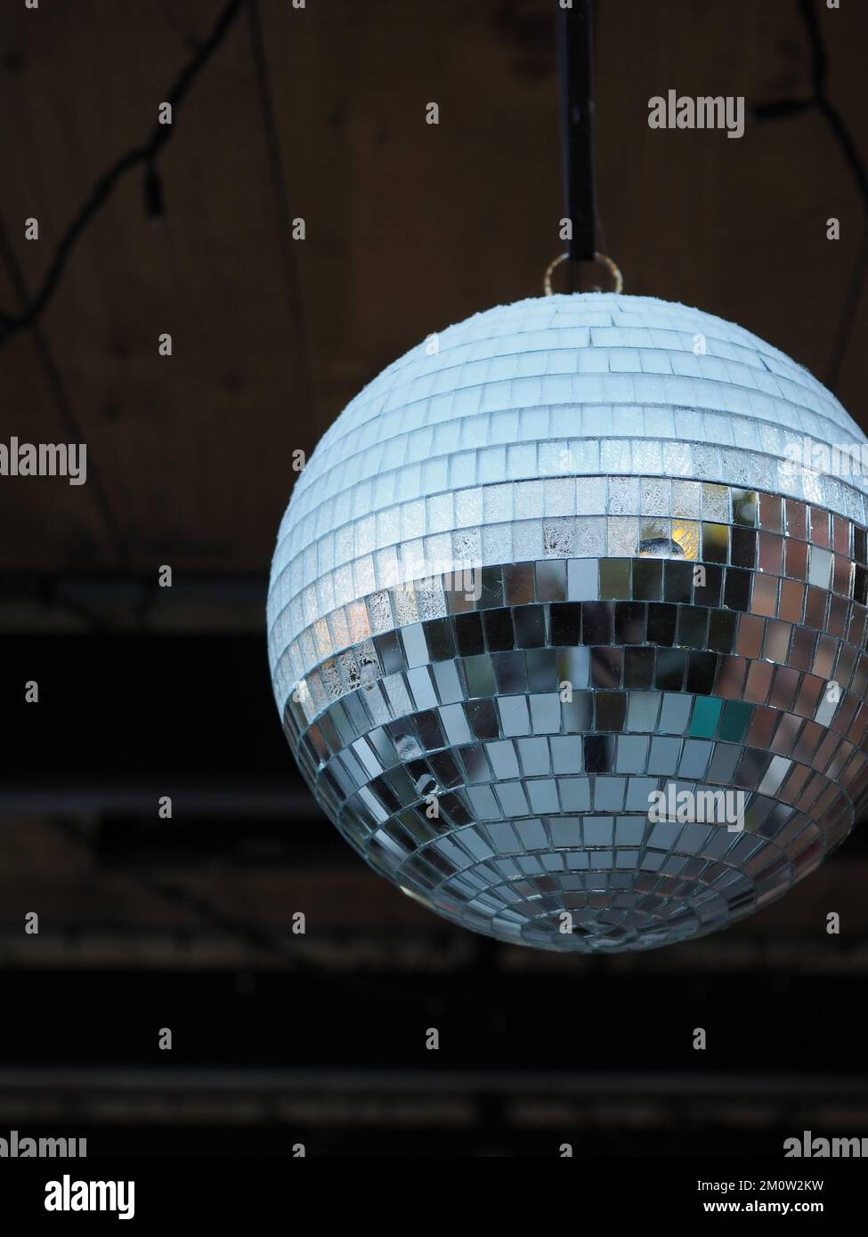 Palla da discoteca appesa in un giardino coperto di gelo Foto Stock