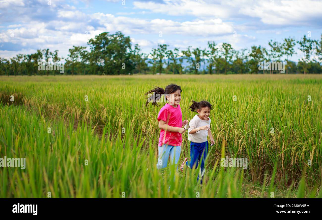 Bambini allegri giocano e corrono all'aperto nel campo di riso verde sotto il cielo blu. Concetto di eco-friendly in natura e felice infanzia Foto Stock