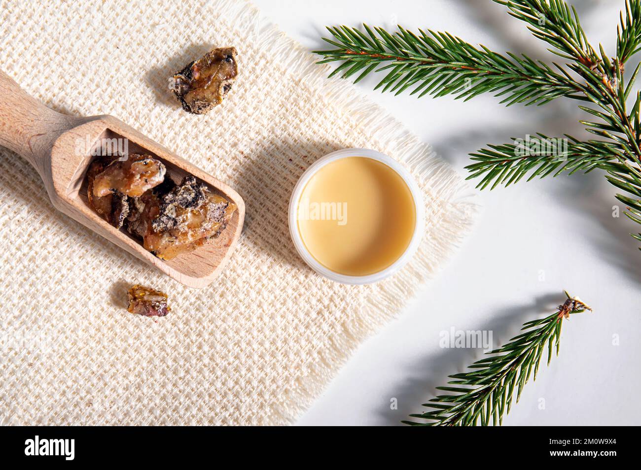 Abete Picea abies resina medicinale a base di erbe lozione in vaso e pezzi su cucchiaio di legno, decorato con rami di abete fresco. Utilizzando resina di abete rosso. Foto Stock