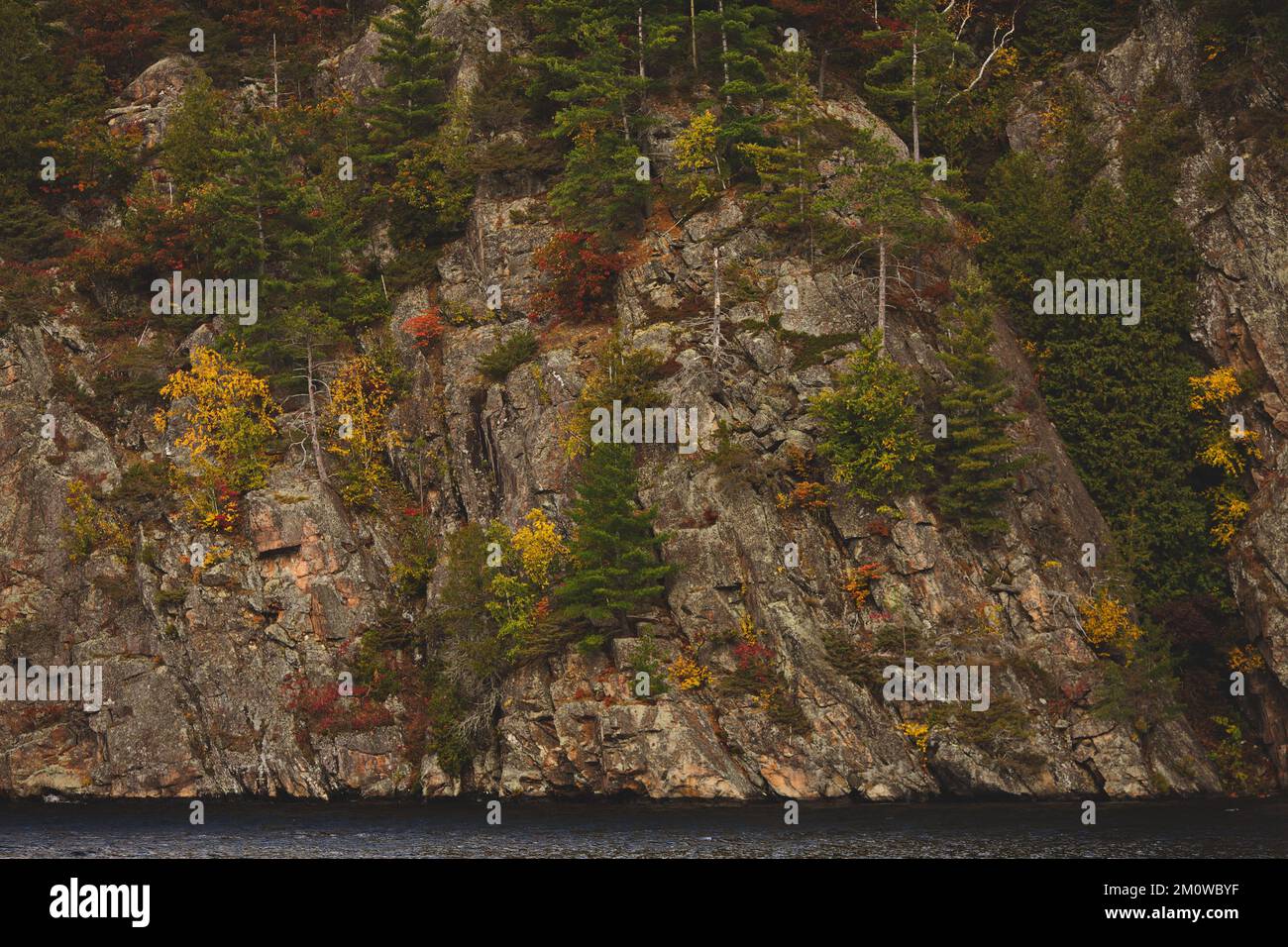 Una bella vista del lago vicino alla foresta in Ontario, Canada Foto Stock