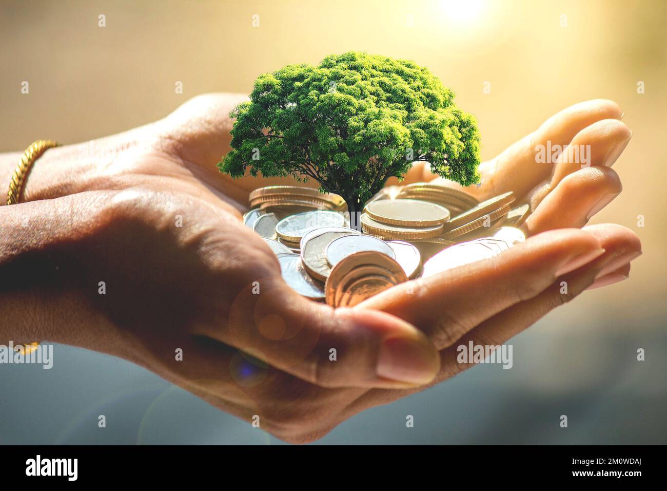 Il concetto di denaro che cresce da monete nelle mani di uomini d'affari - immagini Foto Stock